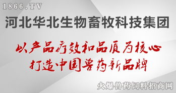 華北生物 聚焦生物技術(shù)開(kāi)發(fā)，守護(hù)健康——病毒性疾病的防治原則與前沿實(shí)踐