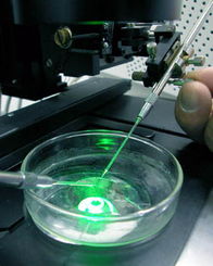 2021年中國(guó)生物技術(shù)開(kāi)發(fā) 創(chuàng)新驅(qū)動(dòng)與產(chǎn)業(yè)升級(jí)的新篇章