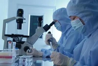 李逵還是李鬼？相似專業(yè)名稱辨析 生物技術(shù)與生物技術(shù)開(kāi)發(fā)，2021年考生必讀